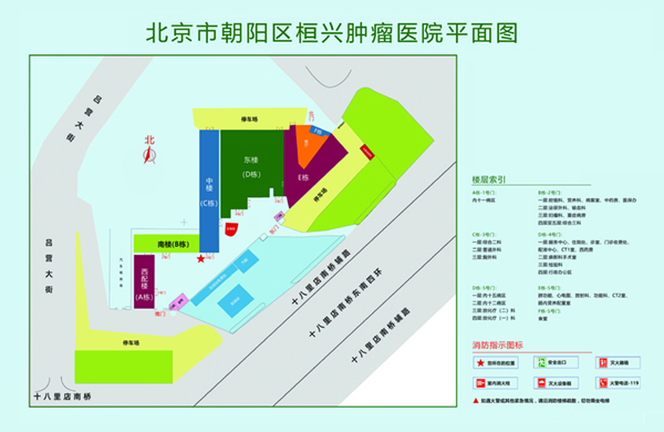 屌屄屄网北京市朝阳区桓兴肿瘤医院平面图